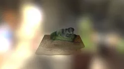 adog