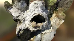 Beach Rock Hole