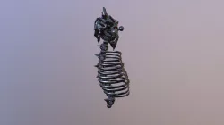 Bone