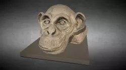 Clay Ape Head