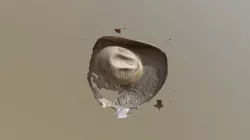 Cowboyhat