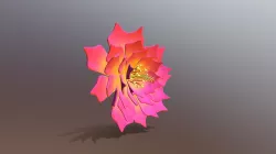 Desert Flower