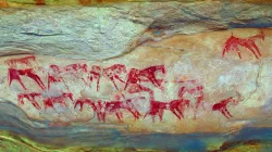 Dibirké, sheep and goats