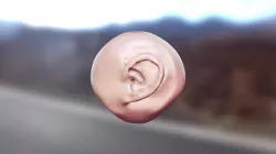 Ear