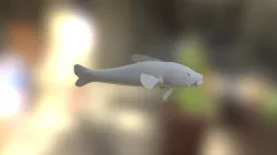 Eel