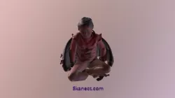 es3D