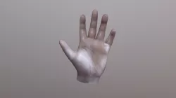 Hand2