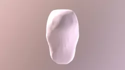 Head Basic Mesh
