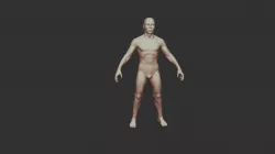 Human Male