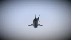 Low poly shark