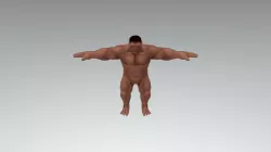 Macho Man