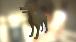 Perro