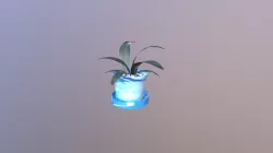 Plant Pot Project
