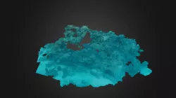 Reef
