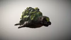 Sealmother