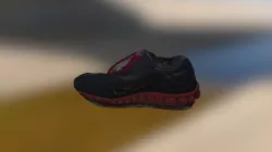 Shoe