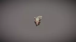 Skull Cloth
