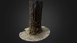 Tree_2