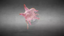 Wirefreamevibrate