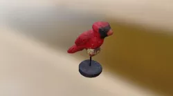 Cardinal