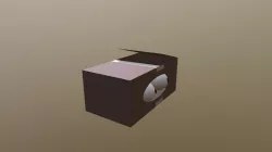cat in the box