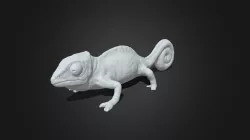 Chameleon 3d printing model