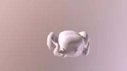 Chicken-model