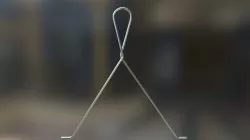 Clip #8050