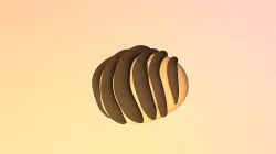 Concha (Chocolate)