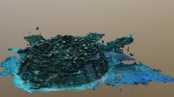 Coral Igloo