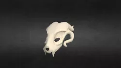 Crâne d'Éthéréen - Etherean skull