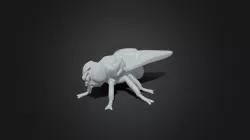 Cute q fly 3d printing model