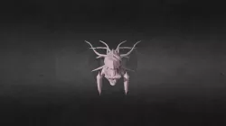 Demon Leviathan