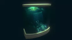 Divers
