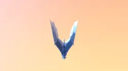Dragon Flight Cycle