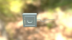 Dual Socket