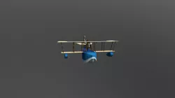 Flying circus hand painted plane