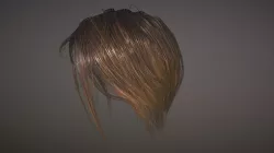 Hair Wig Female - Model 1