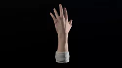 Hand Study