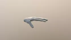 Hand