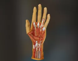 Handy!