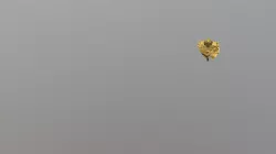 Jumping Smough