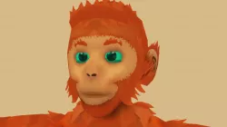 Monkey