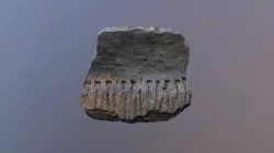 Neolithic sherd of the belly of a Funnelbeaker