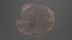 Object #3