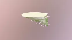 Object Human