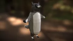 Racoon Upright