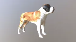 Saint Bernard