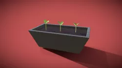 Saplings!