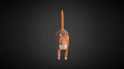 Sheldon The Cat
